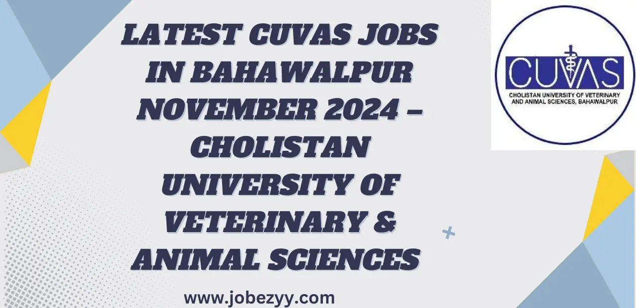 Latest CUVAS Jobs in Bahawalpur November 2024 – Cholistan University of Veterinary & Animal Sciences Jobs